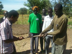 Abinajok training: Measurement is part of FGW