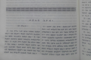 A section from the first chapter of the Book of Job in Tigrigna.